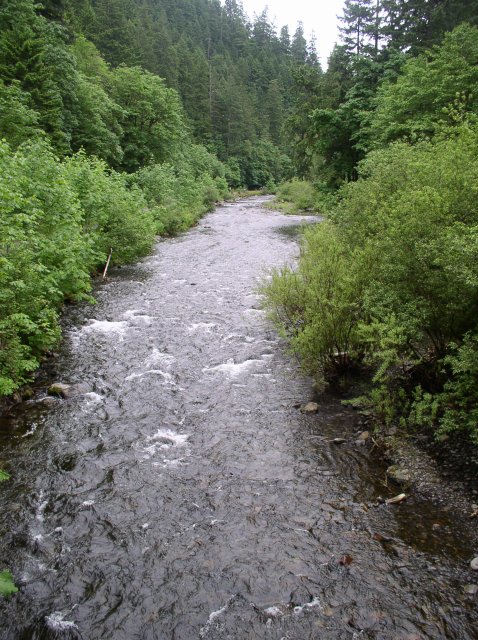 6.03.06 Eagle Creek 052 